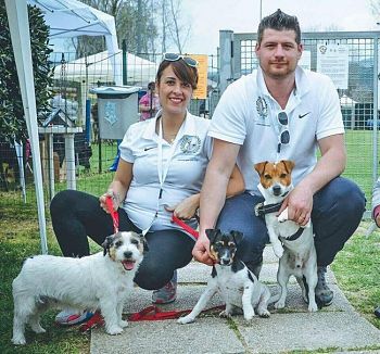 IN CENTINAIA A MENTANA (RM) PER IL RADUNO DEI JACK RUSSEL TERRIER E LE SELEZIONI NAZIONALI DI AGILITY.